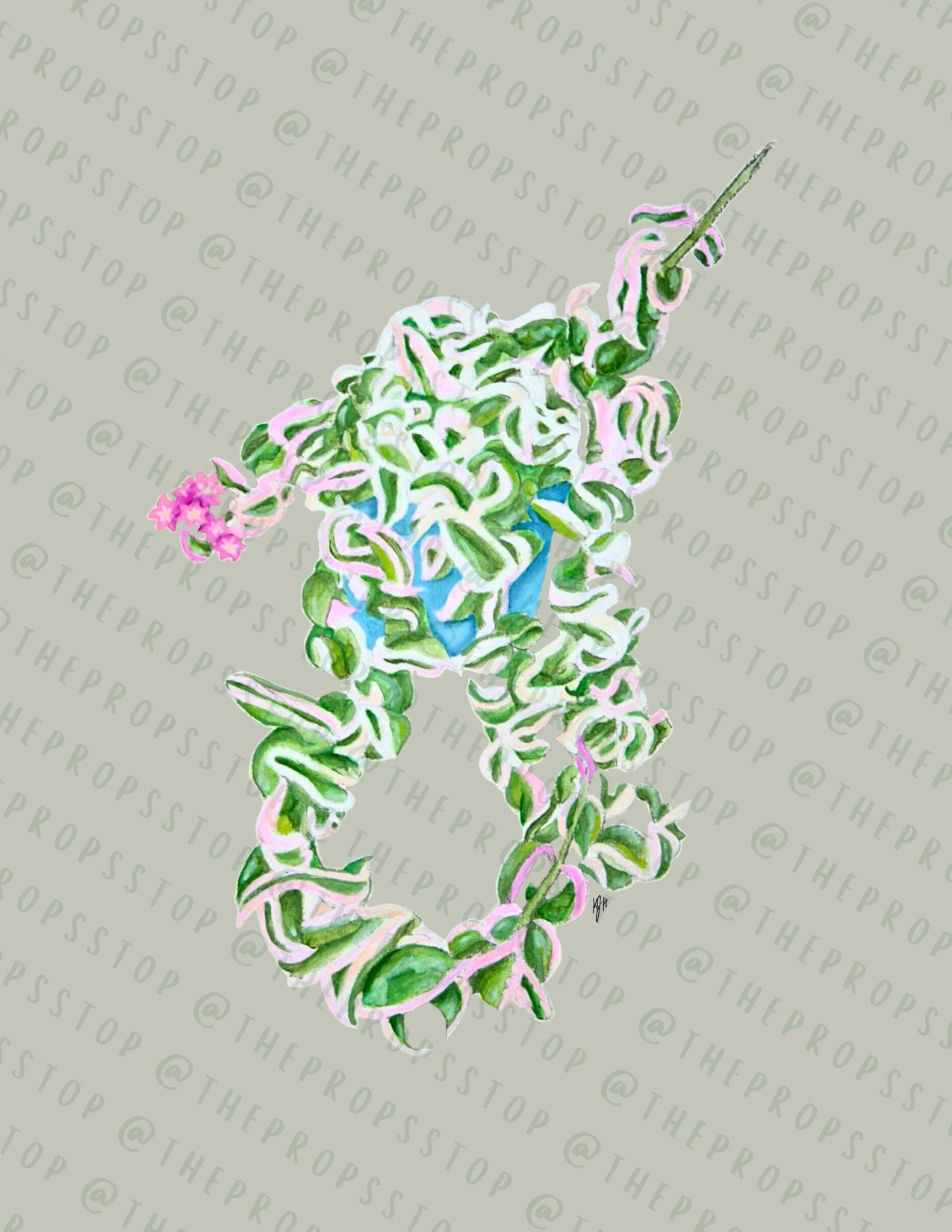 Hoya Carnosa Compacta Original Art (Digital File)