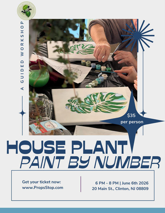 House Plant Paint by Number